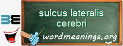 WordMeaning blackboard for sulcus lateralis cerebri